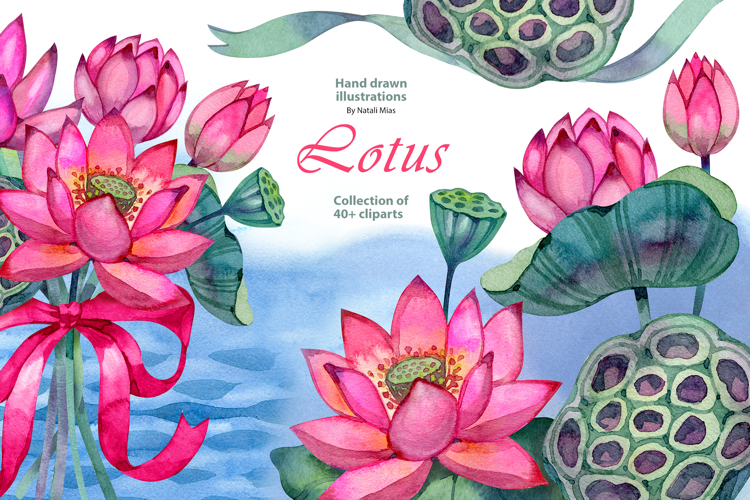 Lotus - Watercolor Clipart Collection