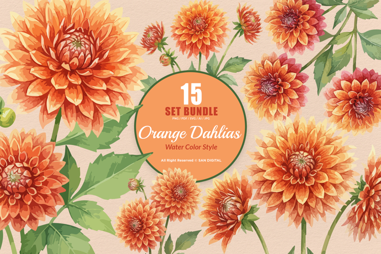 15 Bundle Watercolor Dahlia Flower Blossom Orange Floral