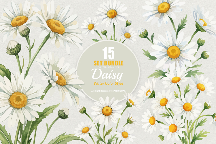 Daisy Png