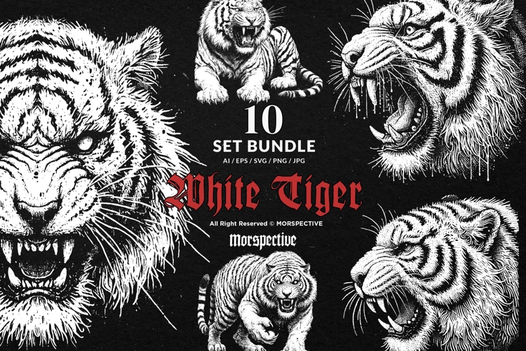 Tiger Vector Image 9