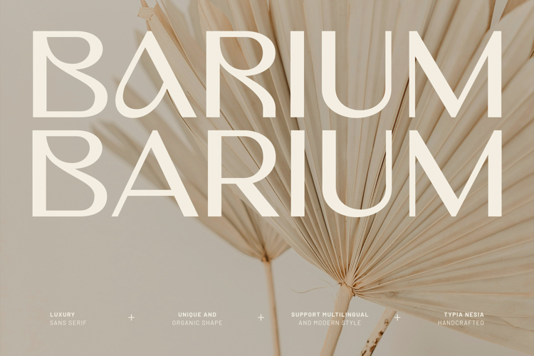 Barium - Luxury Elegant Beauty Sans Serif