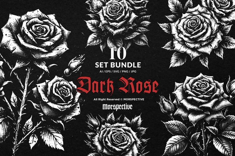 Rose PNG Image 9