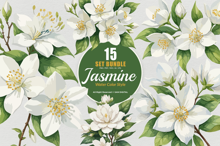 15 Bundle Watercolor Jasmine Flower Decoration Wedding