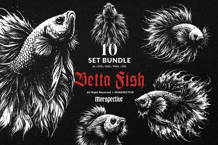 10 Bundle Dark Art Betta Fish Predator Fighting Fish Animal
