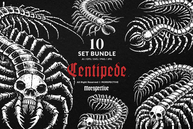 10 Bundle Dark Art Centipede Insects Gothic Skull Horror