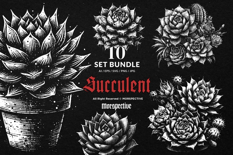 10 Bundle Dark Art Succulent Cactus Plant Floral Desert