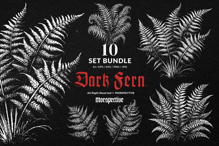 Fern Illustration