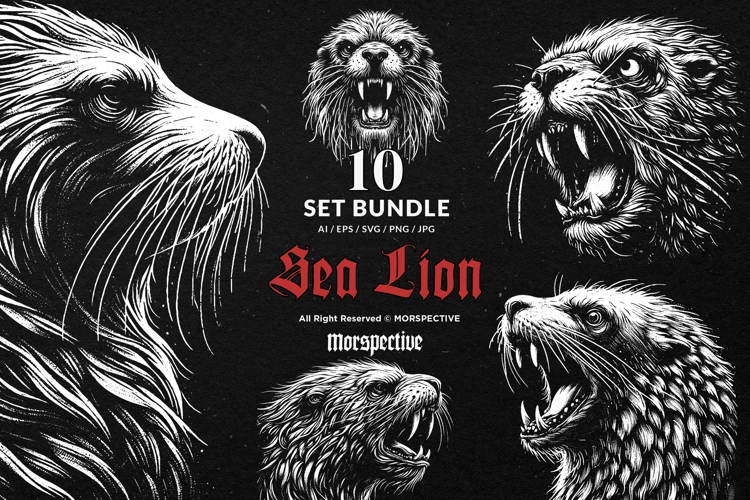 10 Bundle Dark Art Sea Lion Ocean Animal safari Angry Horror