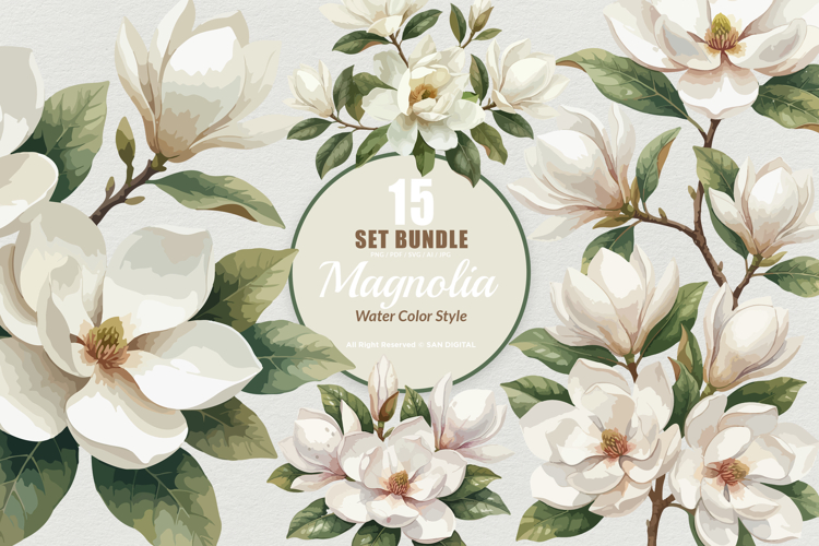 Magnolia Vector