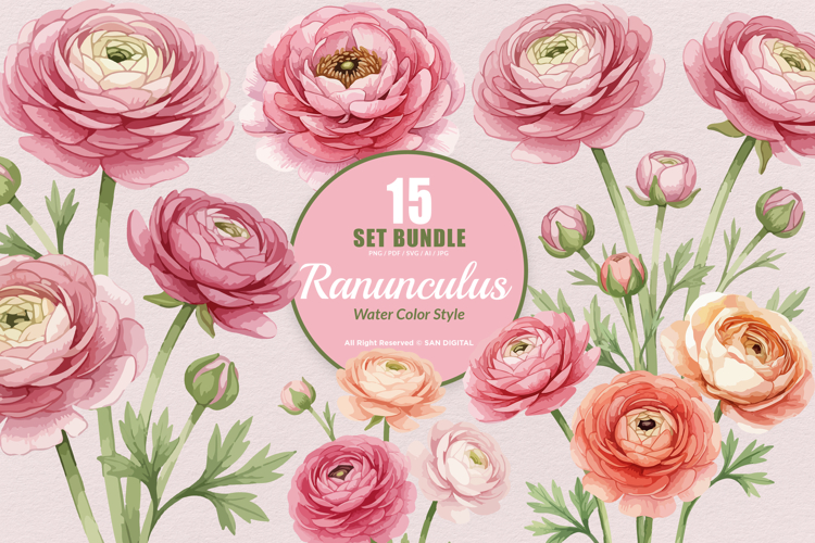 15 Bundle Watercolor Ranunculus Flower Blossom Botanical