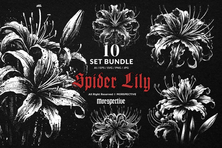10 Bundle Dark Art Spider Lily Flower Lilies Botanical