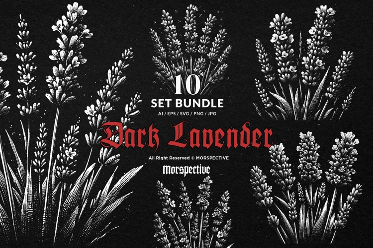 10 Bundle Dark Art Lavender Flower Botanical Wildflowers