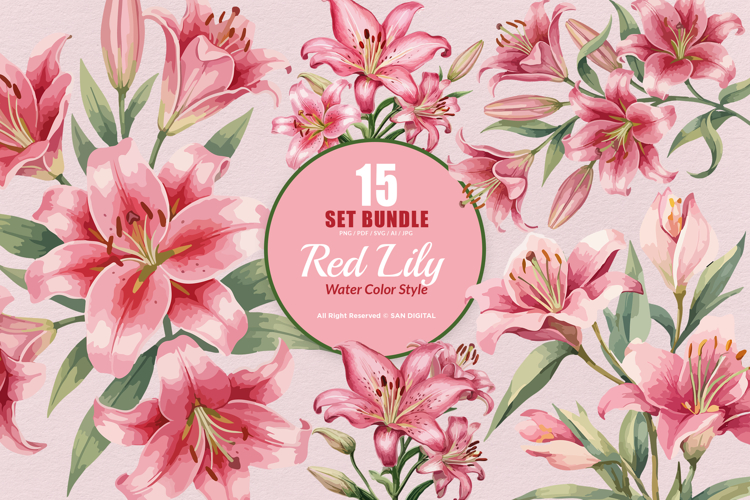 15 Bundle Watercolor Red Lily Flower Botanical Aesthetic