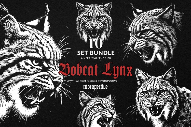10 Bundle Dark Art Bobcat Lynx Tiger Cat Beast Wildcat