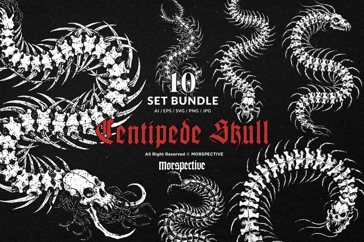 10 Bundle Dark Art Centipede Skull Animal Scary Horror