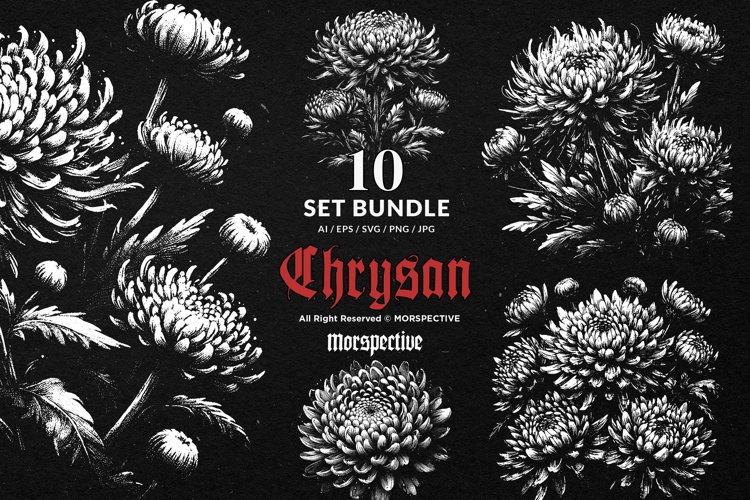 10 Bundle Dark Art Chrysan Flower Bloom Garden Bouquet