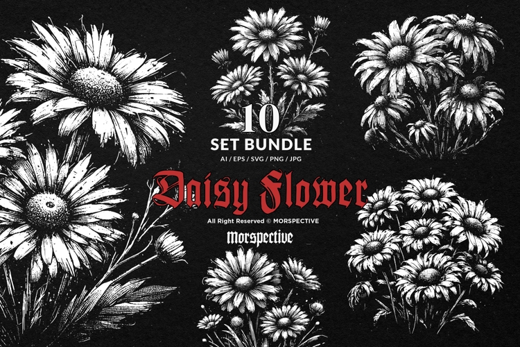 10 Bundle Dark Art Daisy Flower Daisies Floral Wildflower