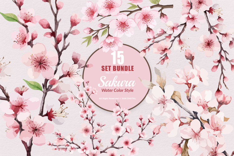 15 Bundle Watercolor Sakura Flower Cherry Blossom Japanese