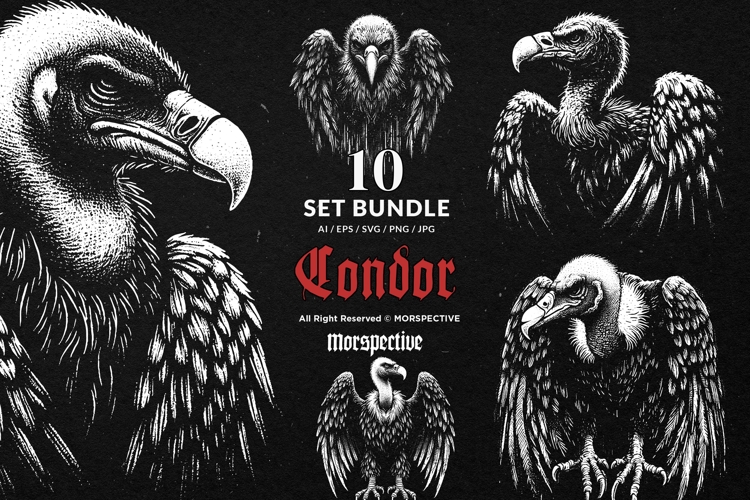 10 Bundle Dark Art Condor Bird Predator Vulture Beast