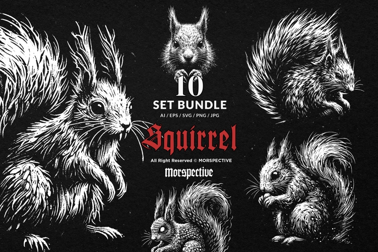 Squirrel Vector