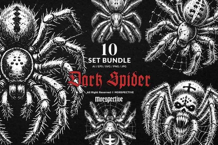 Spider Web Vector Image 18