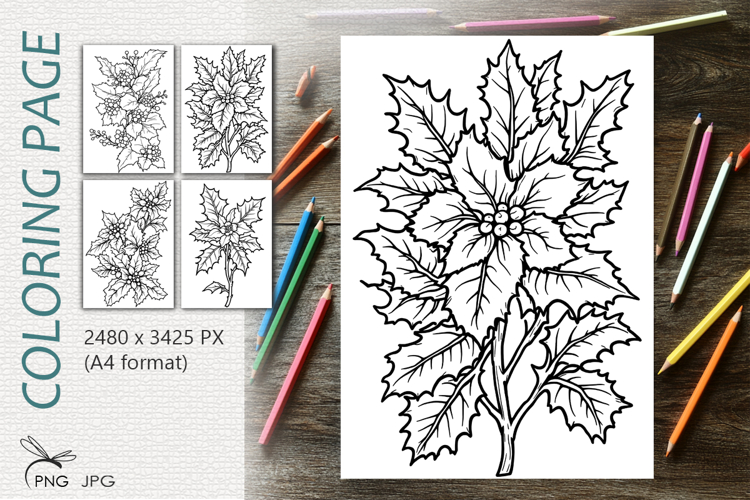 Holly flowers|Coloring page