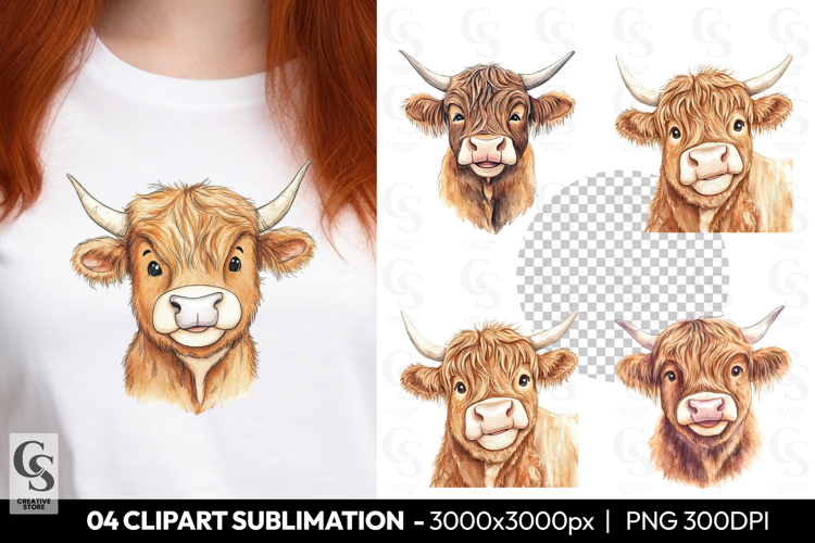 Highland Cow Png Image 15