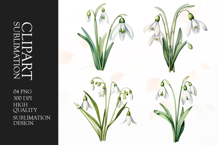 Pastel Watercolor Flower Png Image 19