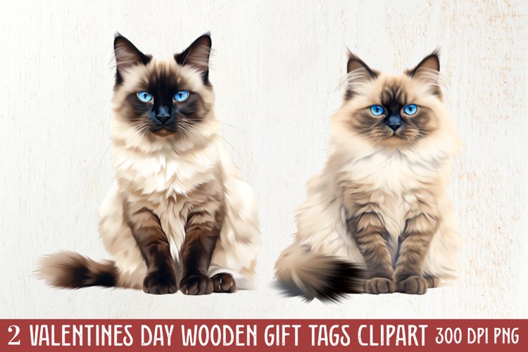 Valentine Cats Clipart, Valentine Pets Clipart