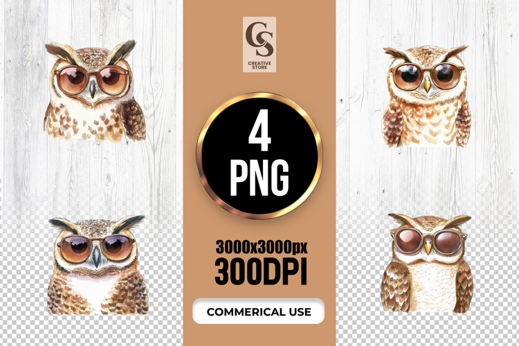 Cute Owl Sunglasses Clipart PNG