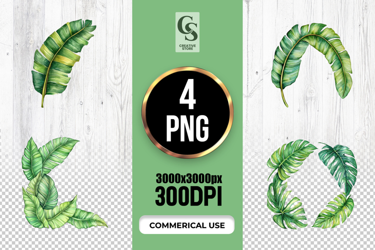 Monstera Leaf Clipart Image 8