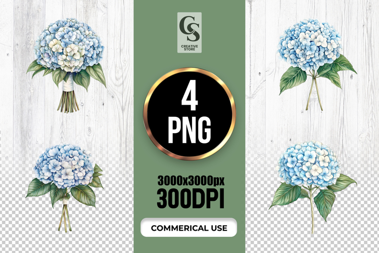 Hydrangea Illustration Image 7