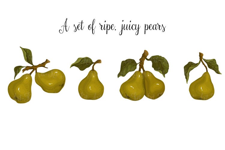 Pear Clipart Image 7