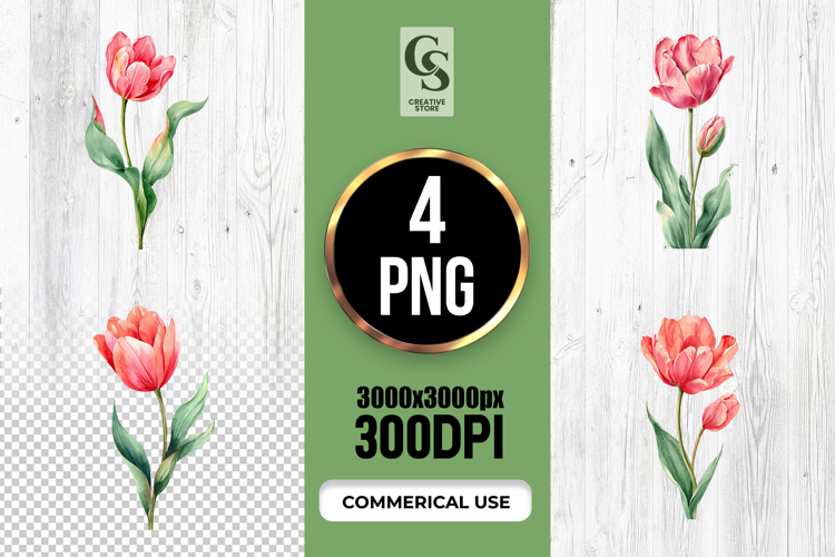 Tulip Illustration Image 24