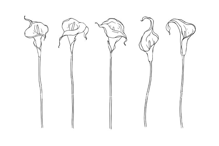 Plants Doodle Image 13