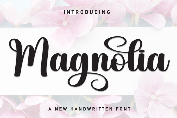 Magnolia