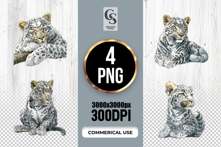 Watercolor Snow Leopard Clipart Sublimation PNG