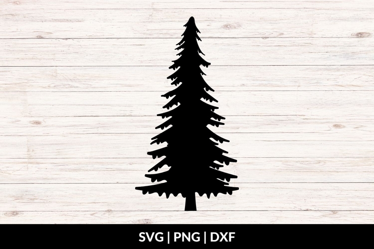 Fir Tree Silhouette Image 14