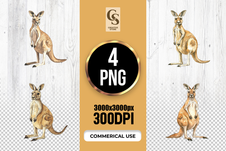 Watercolor Kangaroo Clipart Sublimation PNG