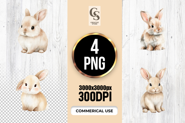 Rabbit Illustration Image 23