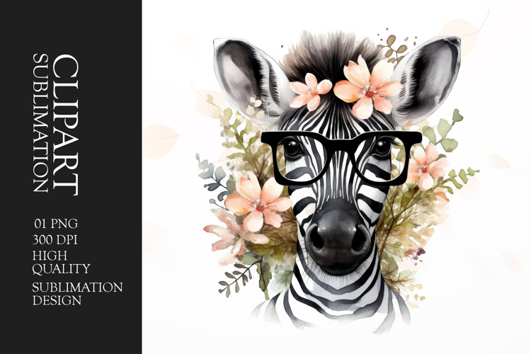 Zebra Clipart Image 11