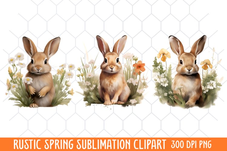 Rustic Spring Clipart, Vintage Spring Clipart