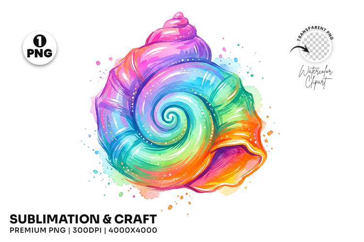 Seashell PNG