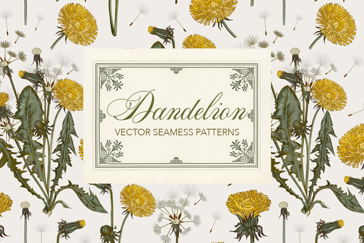 Dandelion hand-drawn wildflowers pattern collection