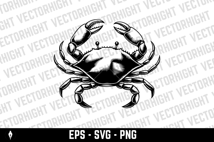 Crab illustrations in vector. Design elements