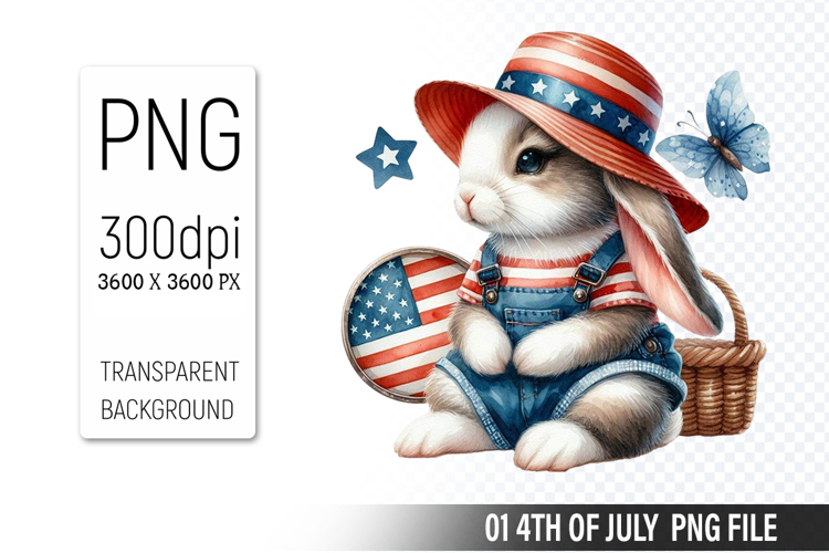 American Flag Png Image 20