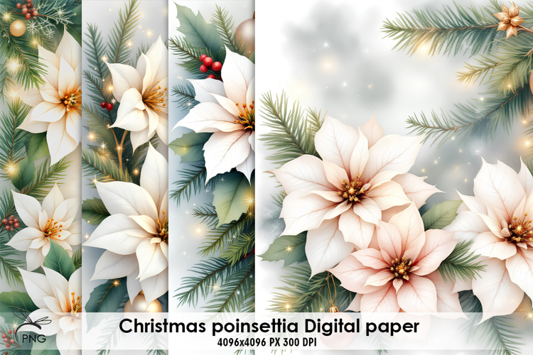 Christmas poinsettia digital paper, background clipart