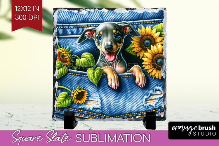 Denim Slate PNG - Dog In Pocket Square Slate Sublimation
