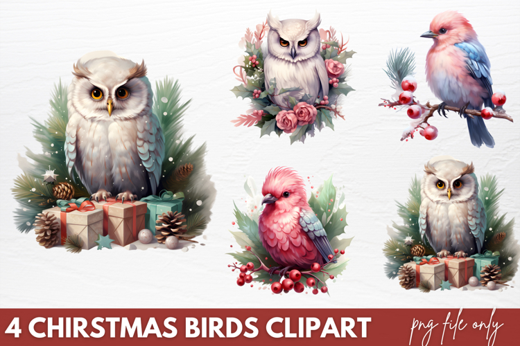 Birds Png Image 9