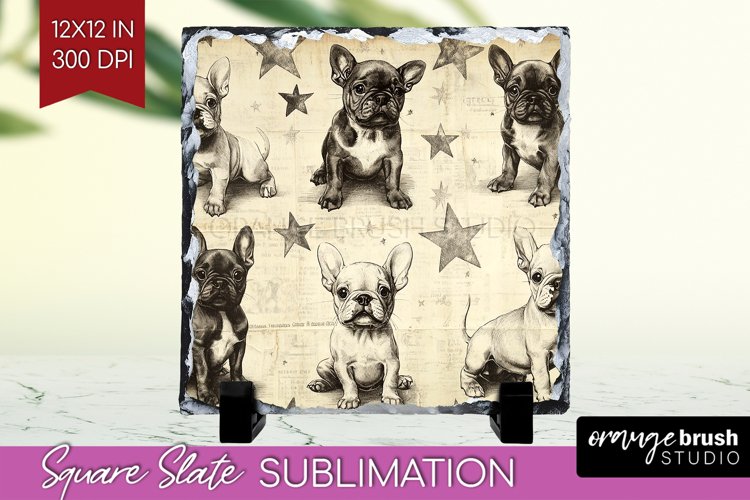 Cute Dogs Slate PNG - Puppy Square Slate Sublimation